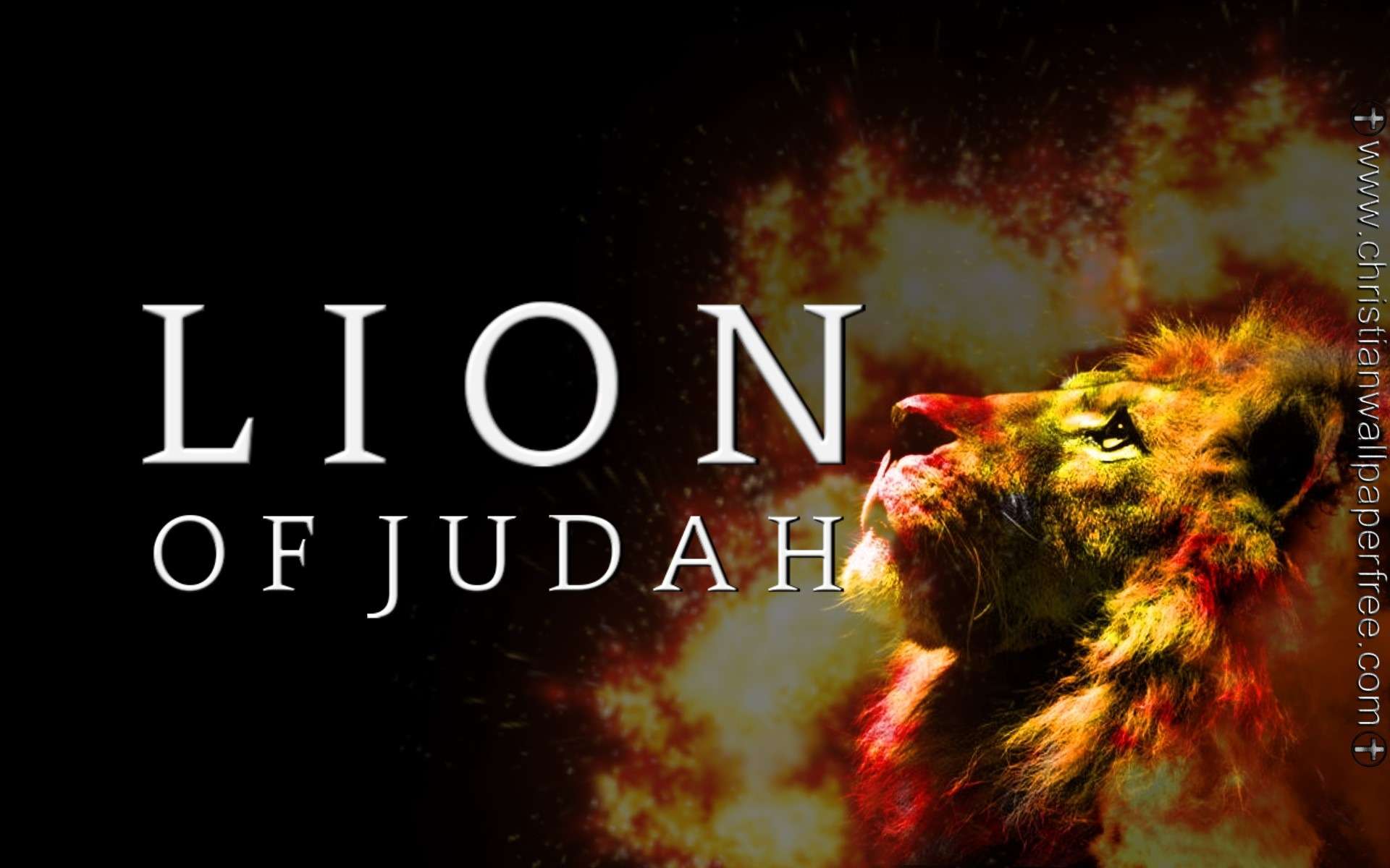 Lion Of Judah In Flames Silver